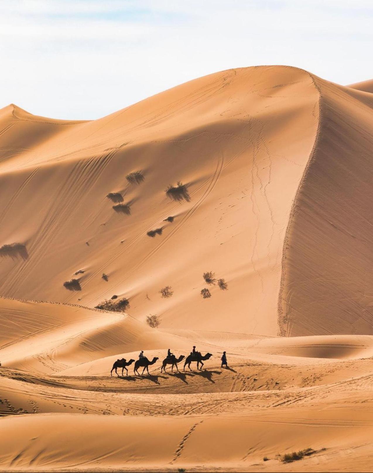 Your Berber Camp Merzouga Exterior photo